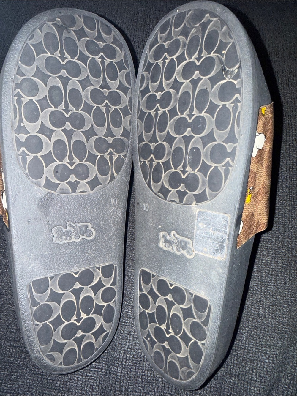 Coach x Peanuts Snoopy Graphic Slide Sandals - Picture 4 of 4
